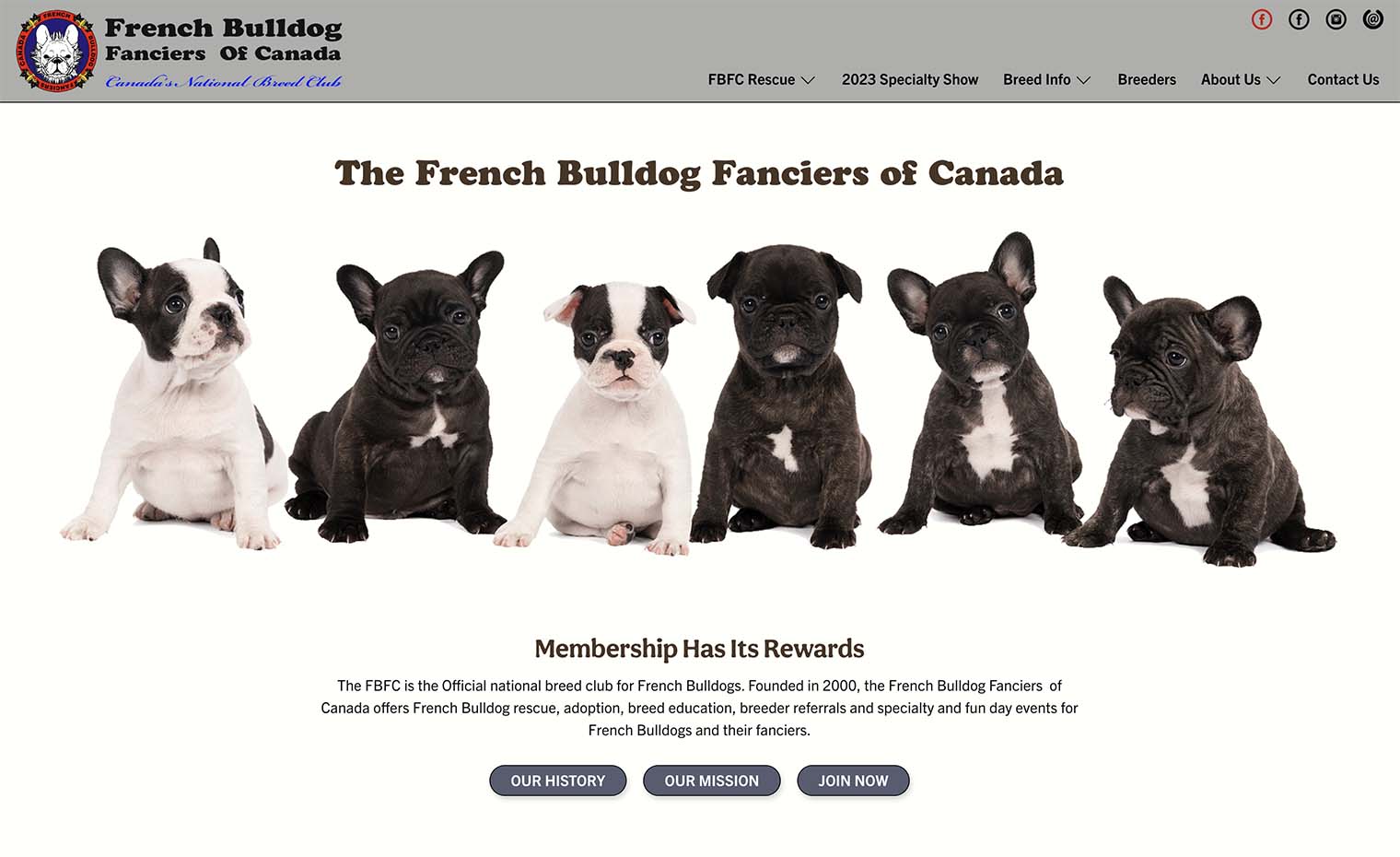 Image of the desktop version of the French Bulldog Fanciers of Canada website