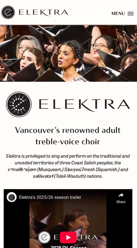 Image of the mobile version of the Elektra website